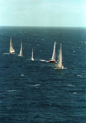 The flotilla lines up